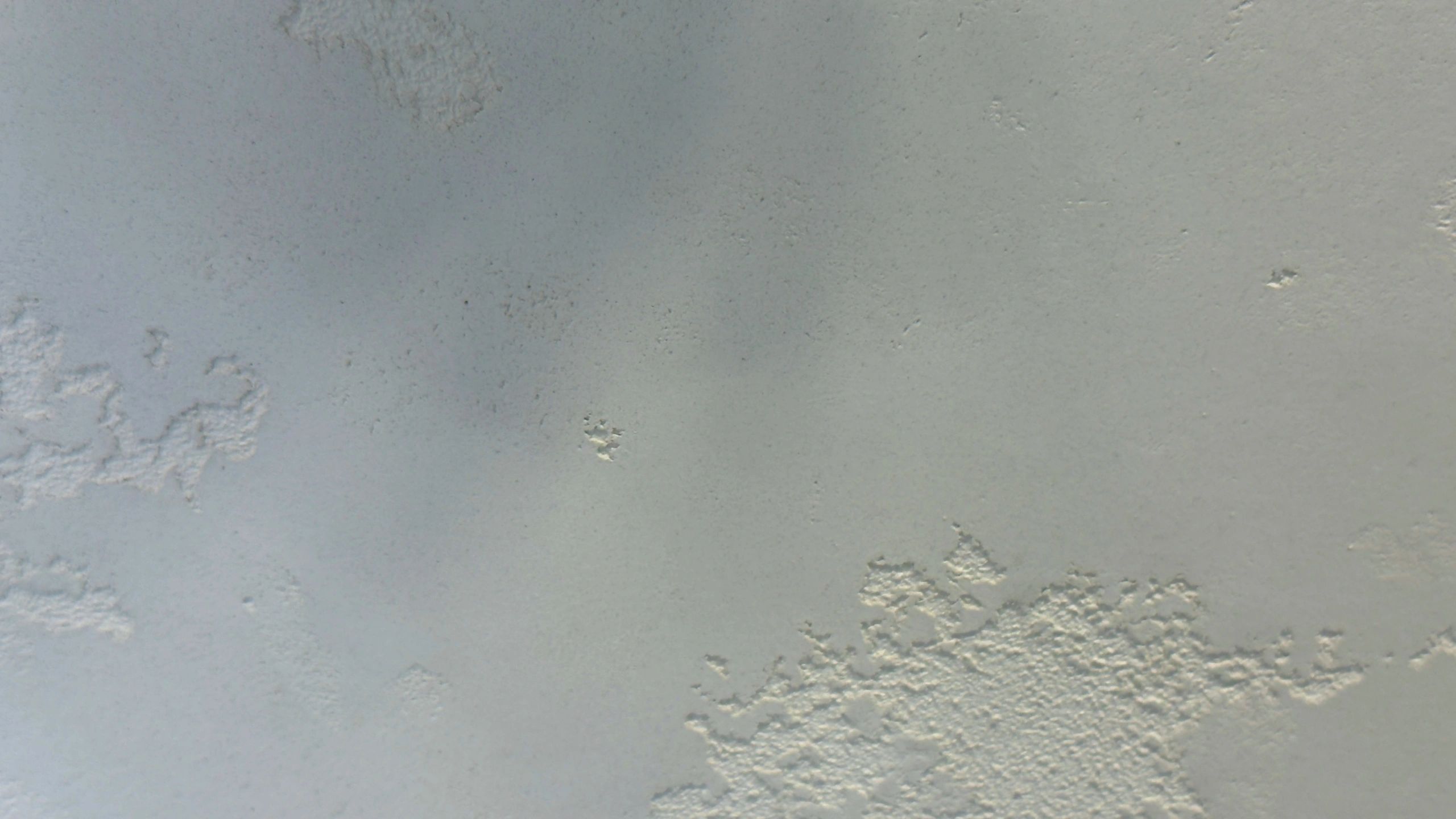 Artisan plaster texture detail in light grey finish